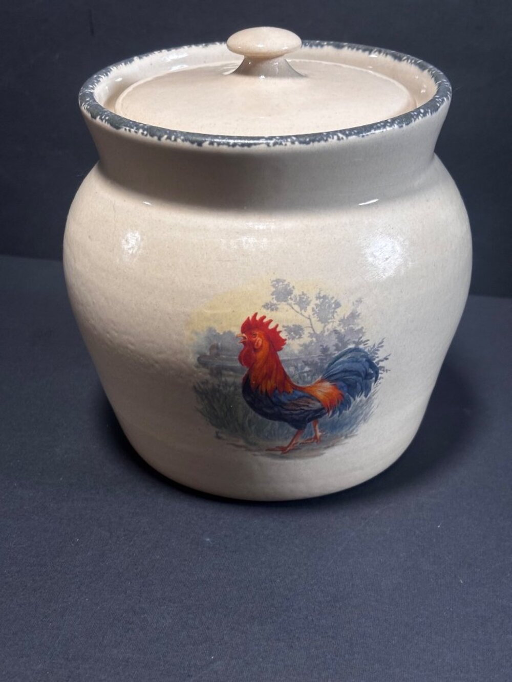 Home & Garden Party Rooster Stoneware Crock Jar With Lid Farmhouse Decor VTG 01